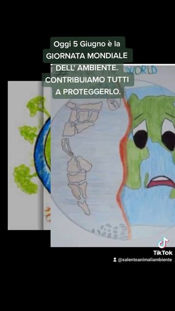 Oggi 5 Giugno è la GIORNATA MONDIALE DELL' AMBIENTE. CONTRIBUIAMO TUTTI A PROTEGGERLO.