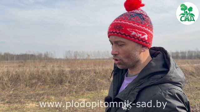 Малина для начинающих