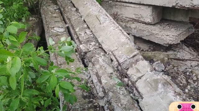 Копаем металл . Прошлогоднее 6