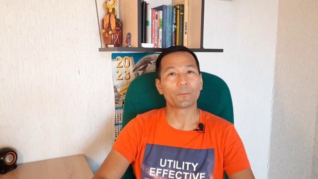 4. 3-этап. Знакомство щенка с различными окружающими объектами и звуками.