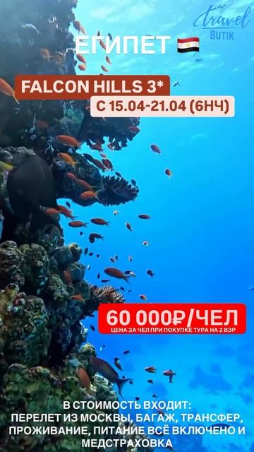 Летим в Египет 🇪🇬