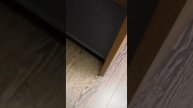 VID 20200918 154014