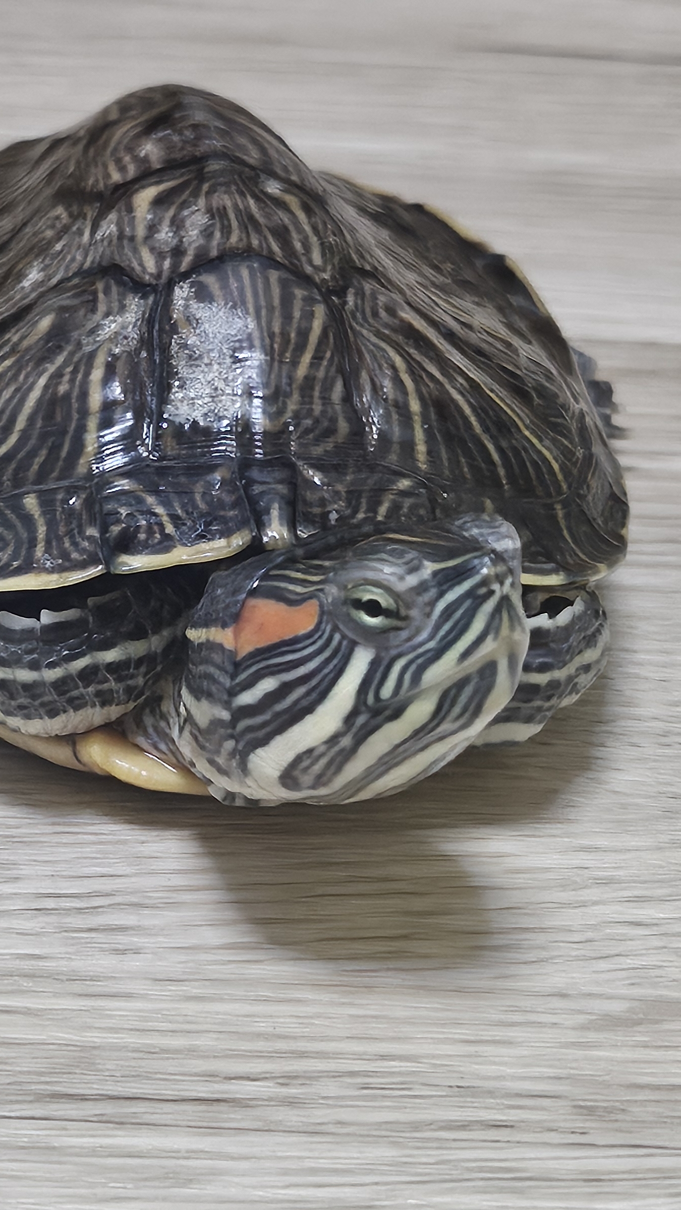 нету ничего больше