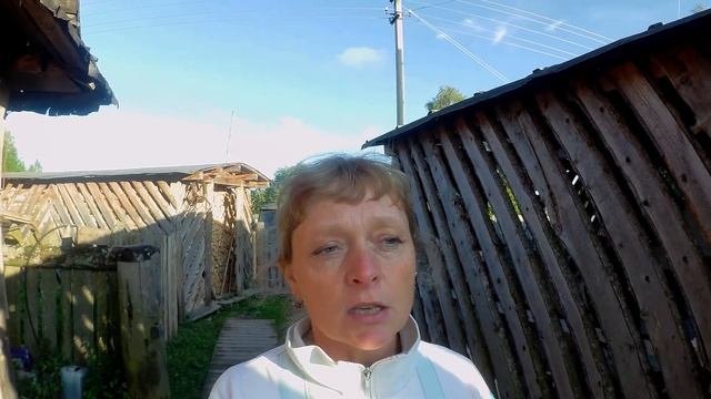 ВЛОГ 15 августа. Огород работа. Что делать с Васей - ловит крольчат