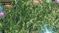 Сегодня 20 июня самый денежный день, нарисуйте эту доходную цифру на руке. Лунный календарь