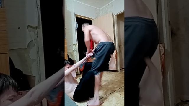 Домашние дурачатся.