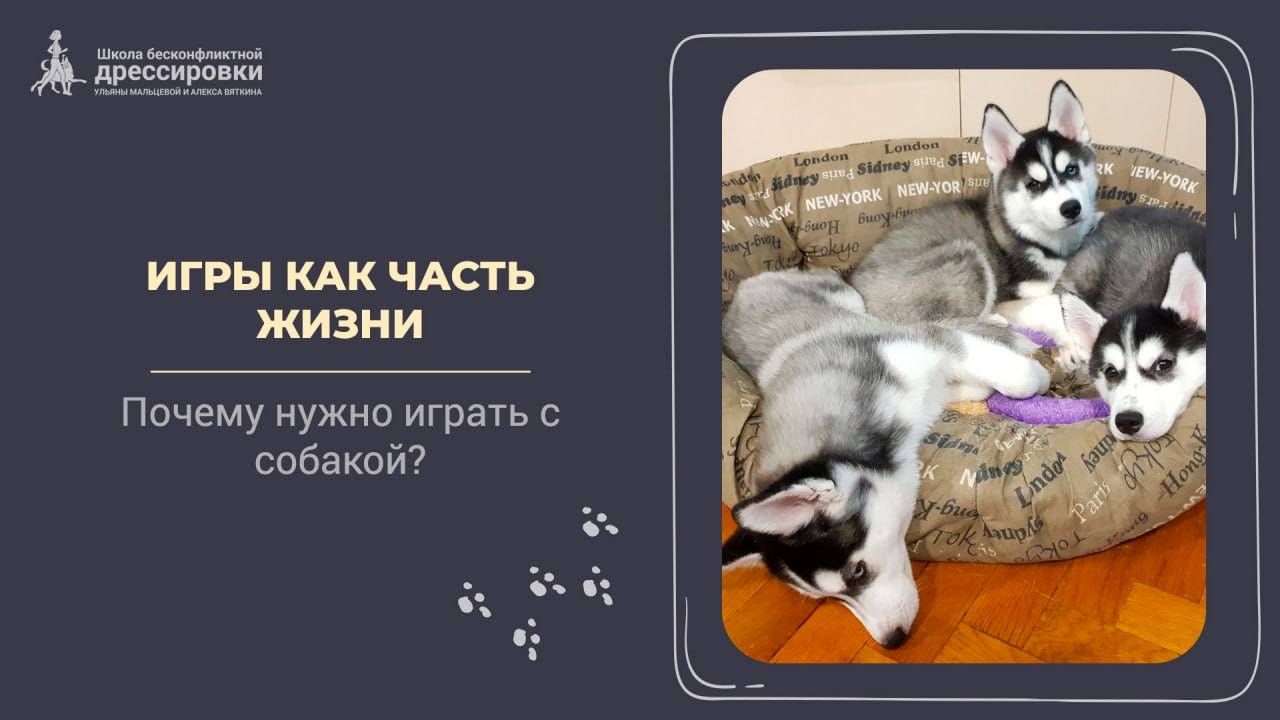 Игра , как часть жизни