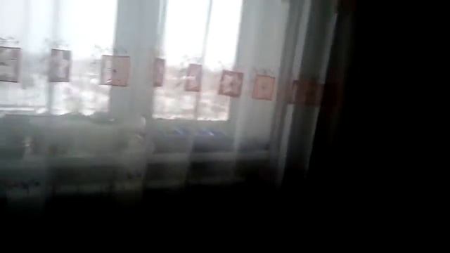 1 дома