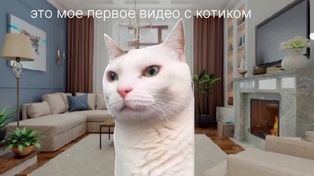 сигма кот (первое видео с котиками)