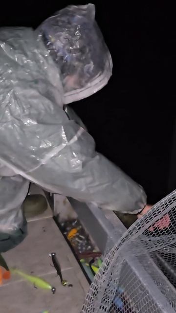 Как ловить рыбу на Волге  #рыбалка #fishing #волга