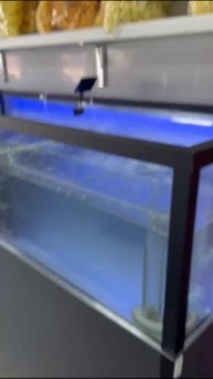 d69eb6c2-7fb6-4713-9f08-16b54b34ac1d