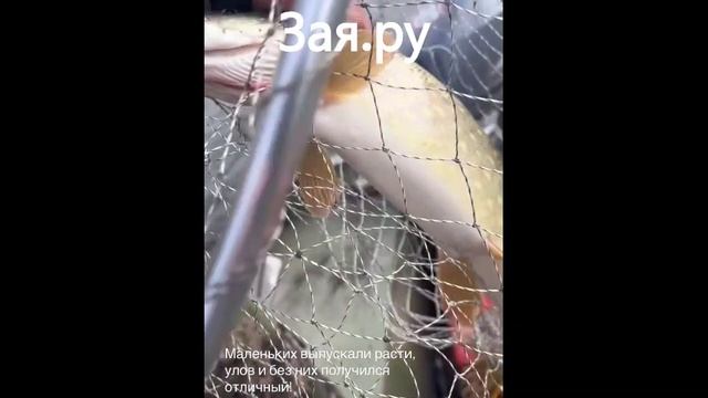 Сергей Безруков наловил щуки на Дону