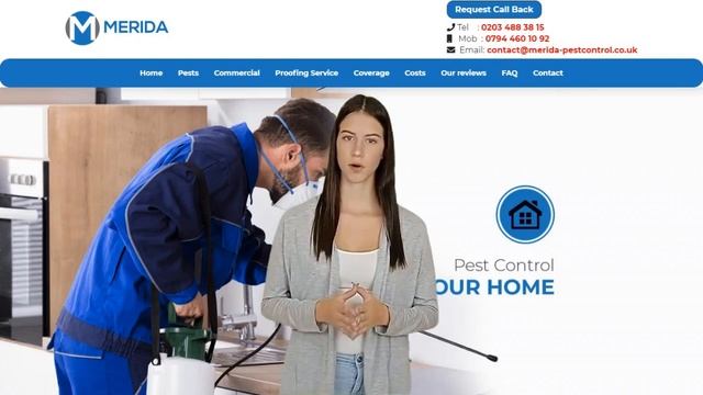 Merida Pest Control Hendon - How To Get Rid of Termites