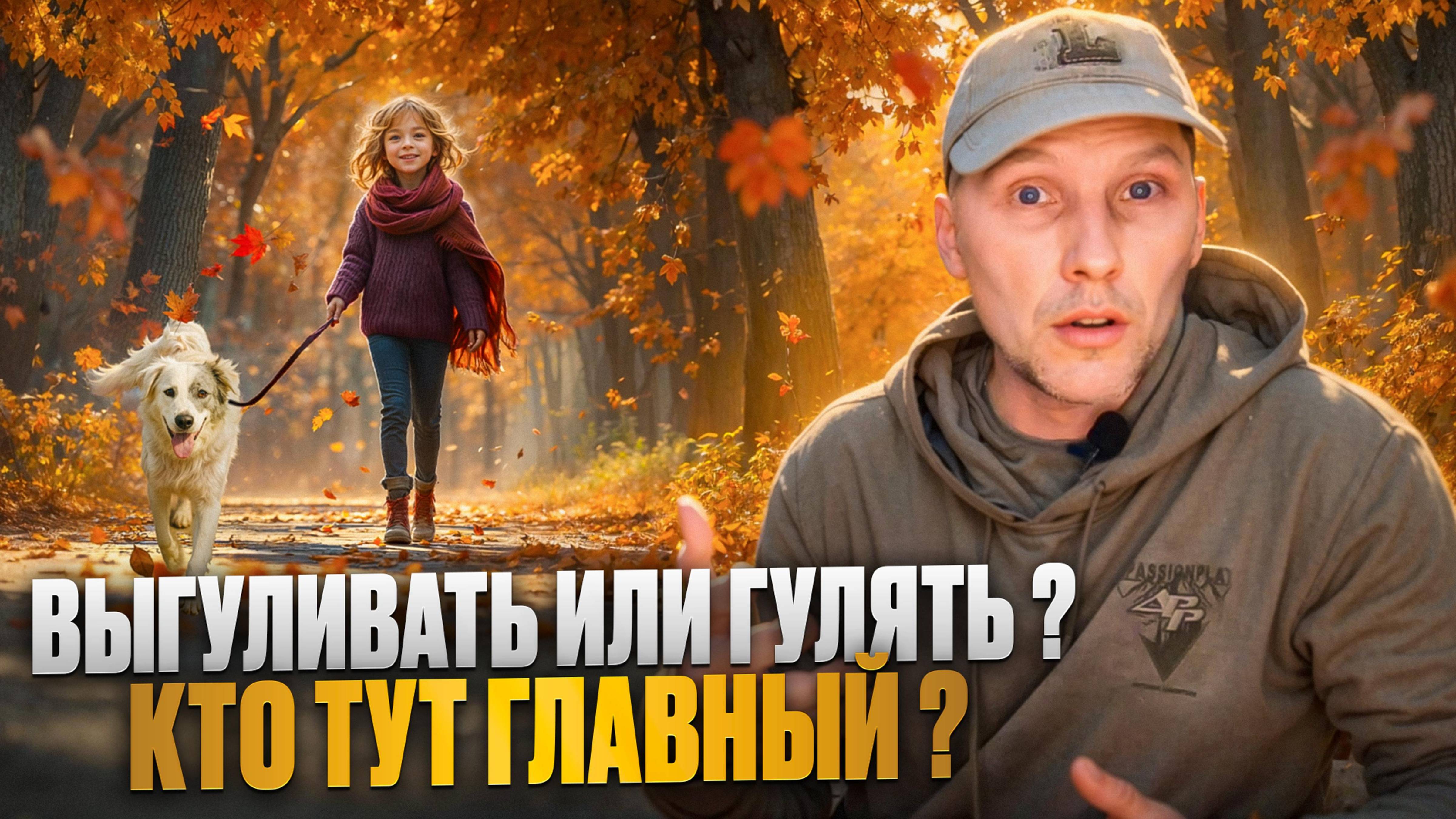 Выгуливать или гулять? Кто тут главный?