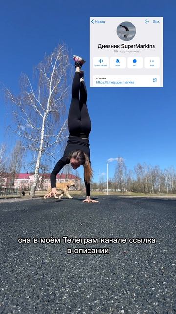 Плоский живот