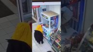Воровская жизнь нелëгкая...