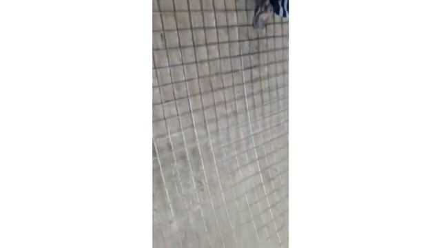 На производстве