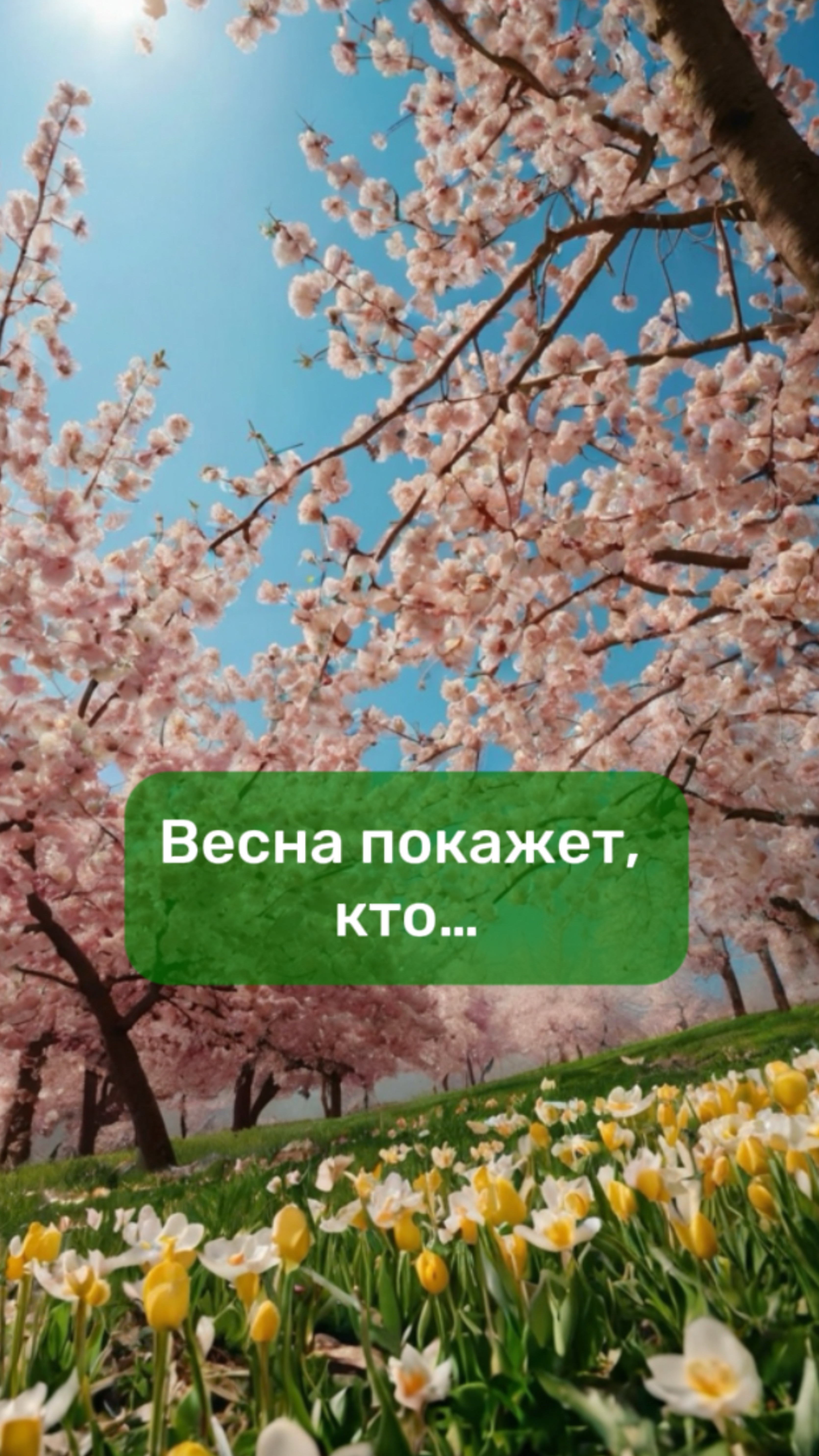 Идиома о весне