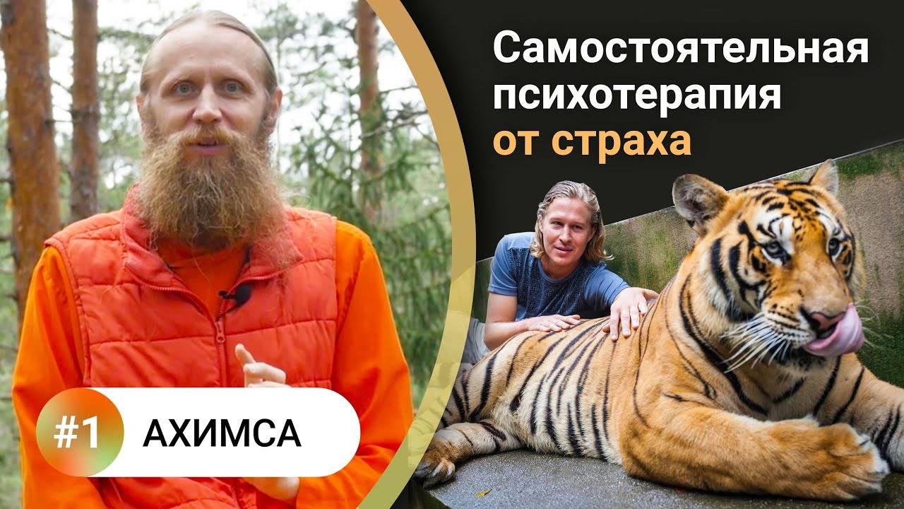 Как жить в балансе? — 1. АХИМСА. Жизнь без страха и агрессии. Что привлекает опасности в нашу жизнь