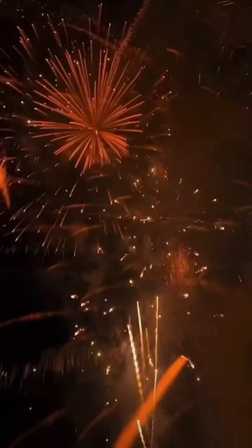 Новогодний ролик для ресторана