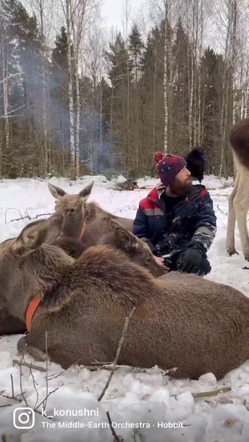 Brotherhood of moose