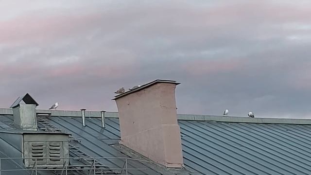 21 июля 2021 г.