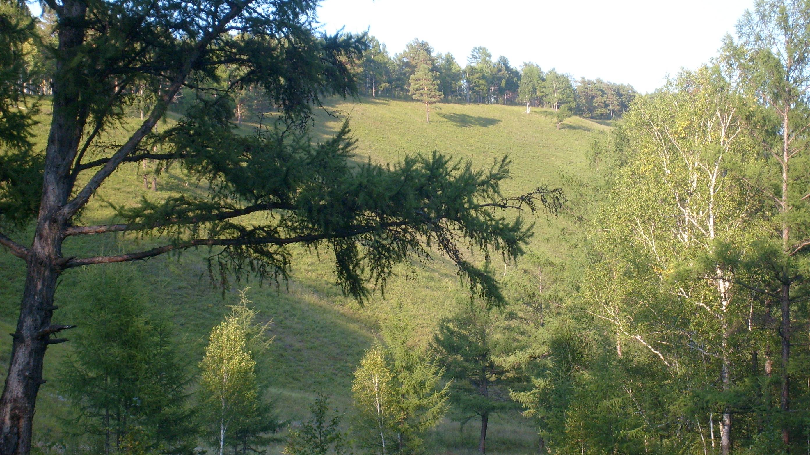 НАХЛЫНУЛИ ВОСПОМИНАНЬЯ