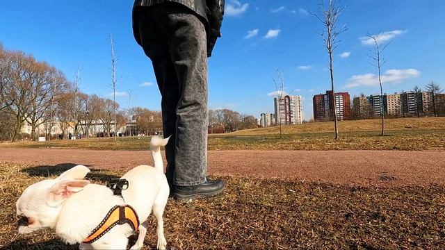 Встреча друга.mp4