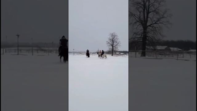 AY YOLA - HOMAY очень необычная и крутая песня