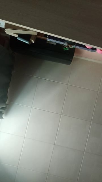 scene_output.mp4