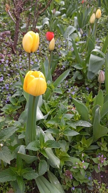 03.04.2025 #сегоднятак #сегодня #природа #nature #oggicosì #бүгін #oggi #hoy #今日 #today #오늘 #자연 #自然
