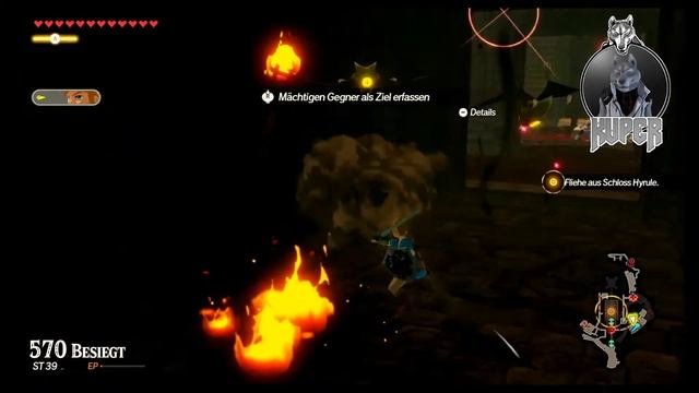 Hyrule Warrios-⚔️Zeit der Verheerung⚔️- Flucht aus Schloss-Hyrule | Part 041