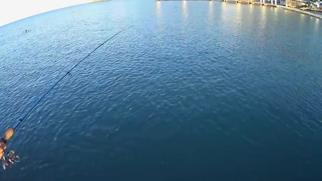 немного морской рыбалки