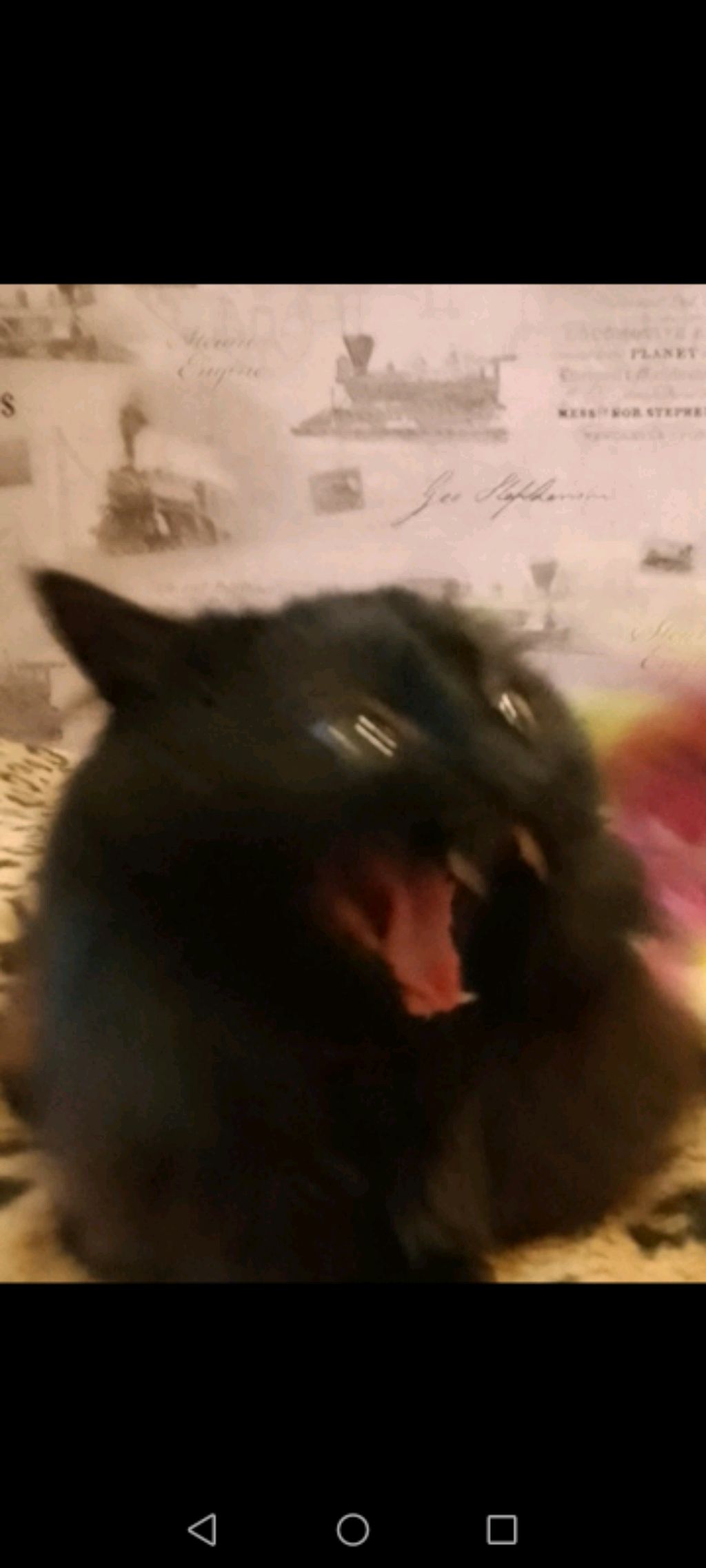 📽️