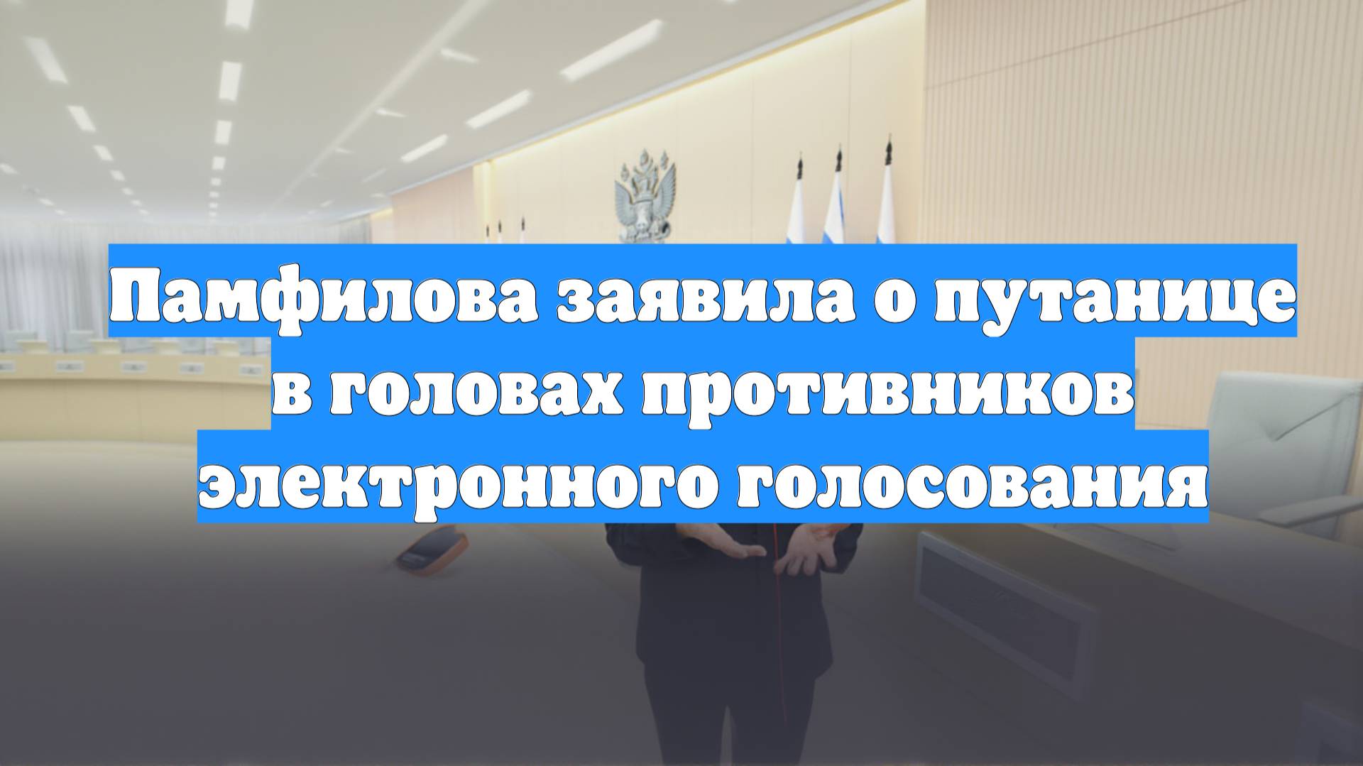 Памфилова заявила о путанице в головах противников электронного голосования