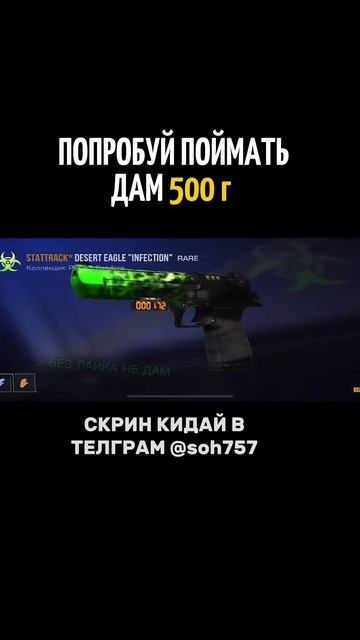 IMG_4130.MOV