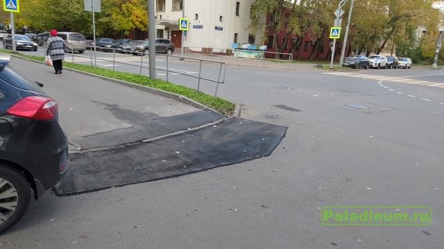 Моя любимая лужа - живее всех живых