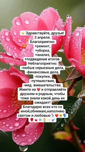 #прогноз