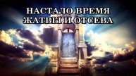 НАСТАЛО ВРЕМЯ ЖАТВЫ И ОТСЕВА. БЛИЖАЙШЕЕ БУДУЩЕЕ ЧЕЛОВЕЧЕСТВА И ПЛАНЕТЫ