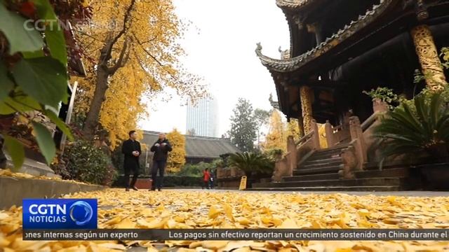 Los jóvenes recurren al taoísmo para aprender más sobre cultura china