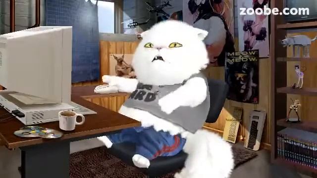 Жирный кот