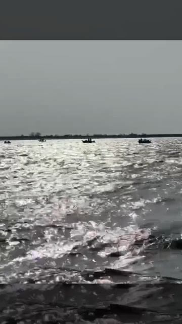Одна огромная щука и 16 лодок рыбаков