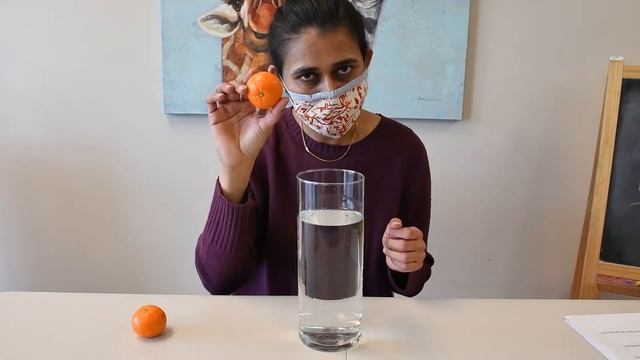 Mad Science: Mandarin Sink or Float