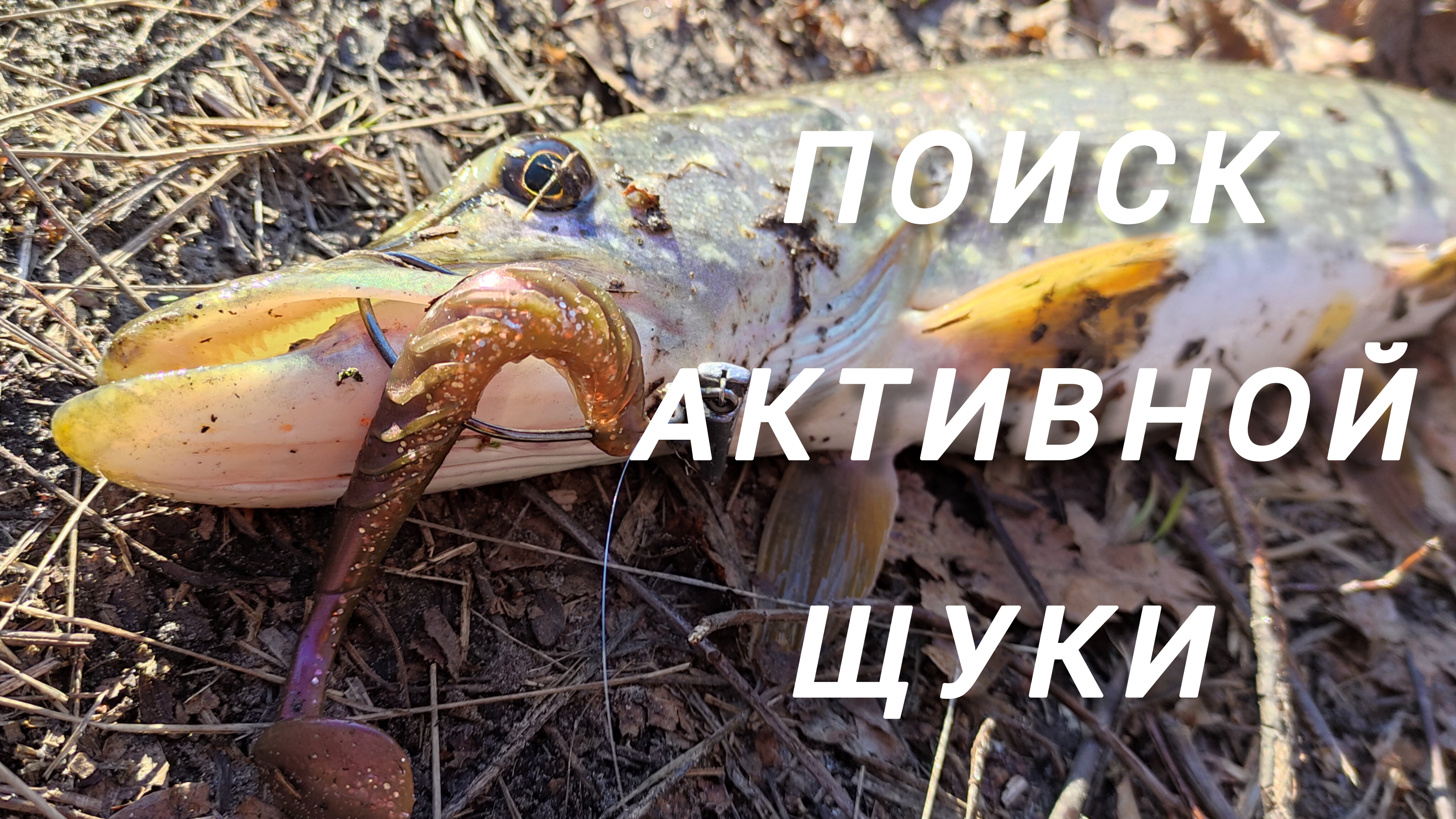 225-Спиннинг в МАРТЕ. Поиск активной ЩУКИ.(23.03.2025)