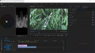 Moody Green Color Tune Premiere Pro Tutorial