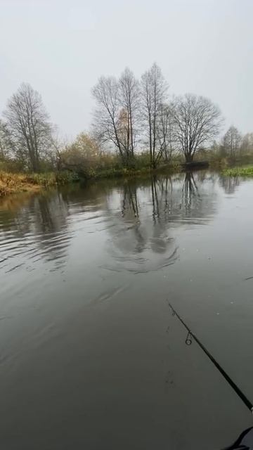 Одна щучка сошла, и тут же клюнула другая