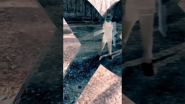 НАФИГА, ЗАЧЕМ И КУДА МЫ ТАСКАЕМ БРЁВНА? 😂