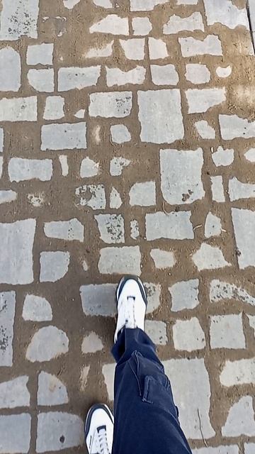 VID_20250324_162817