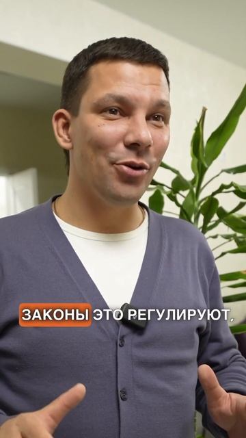 Можно ли шуметь на Новый Год ? Закон о тишине 2024 #юко #shorts #строимсдушой