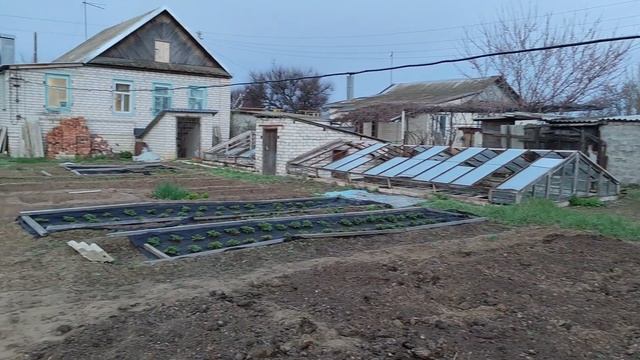 Звуки утра в деревне на берегу Ахтубы.